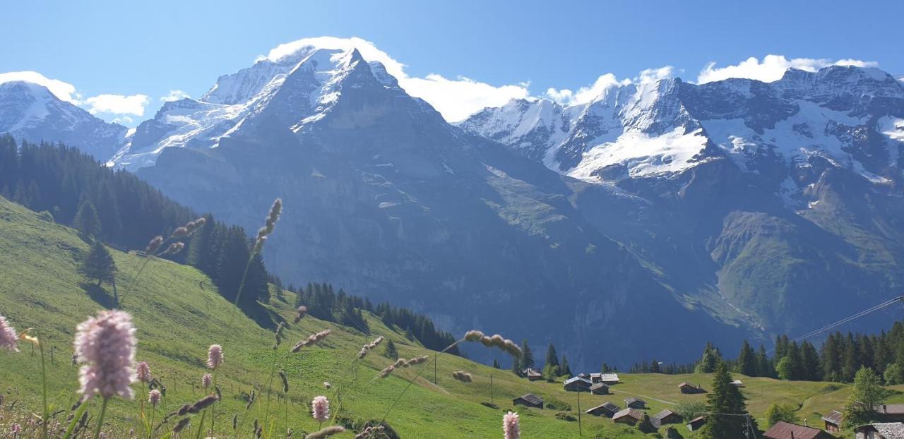 Hotel Restaurant Sonnenberg Mürren Εξωτερικό φωτογραφία