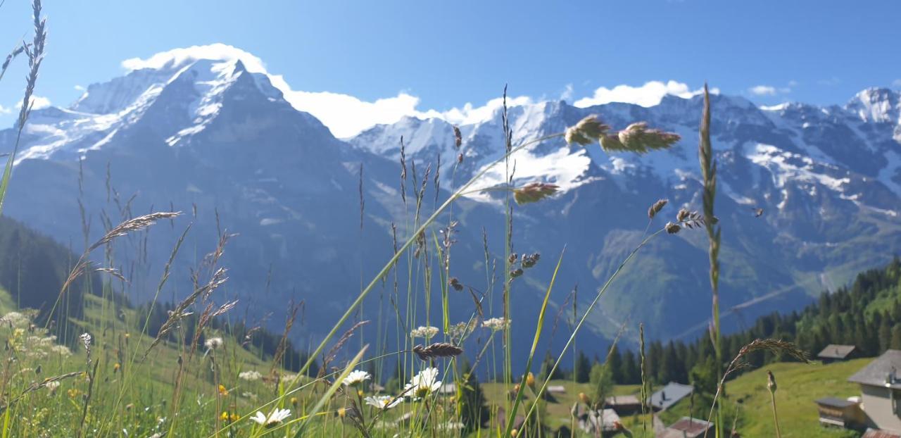Hotel Restaurant Sonnenberg Mürren Εξωτερικό φωτογραφία