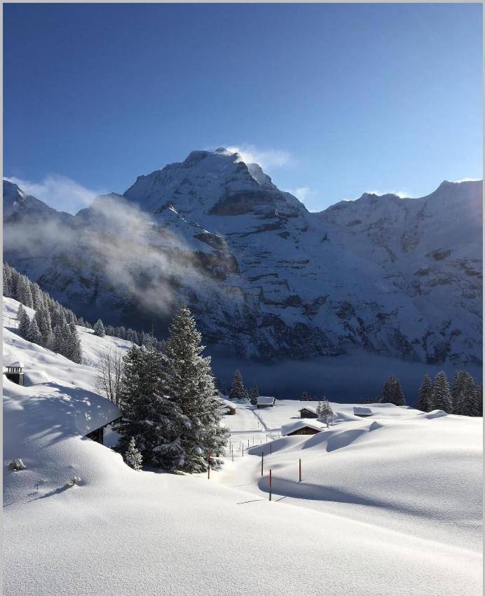 Hotel Restaurant Sonnenberg Mürren Εξωτερικό φωτογραφία